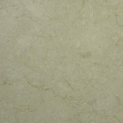 Shell Beige Polished Marble